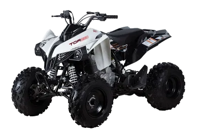 Квадроцикл KAYO (Кайо) Tor 250 (машинокомплект)