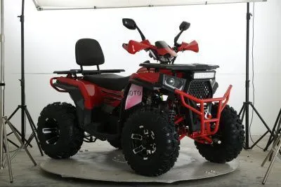 Квадроцикл FXMOTO (ФХмото) WASP 250 бежевый (машинокомплект)