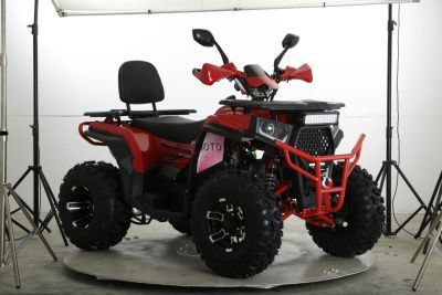 Квадроцикл FXMOTO (ФХмото) WASP 250 бежевый (машинокомплект)