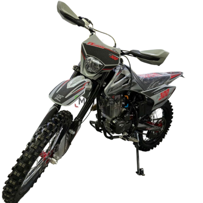 Мотоцикл кроссовый / эндуро FXMOTO(ФХМото) YZ - 300 красный
